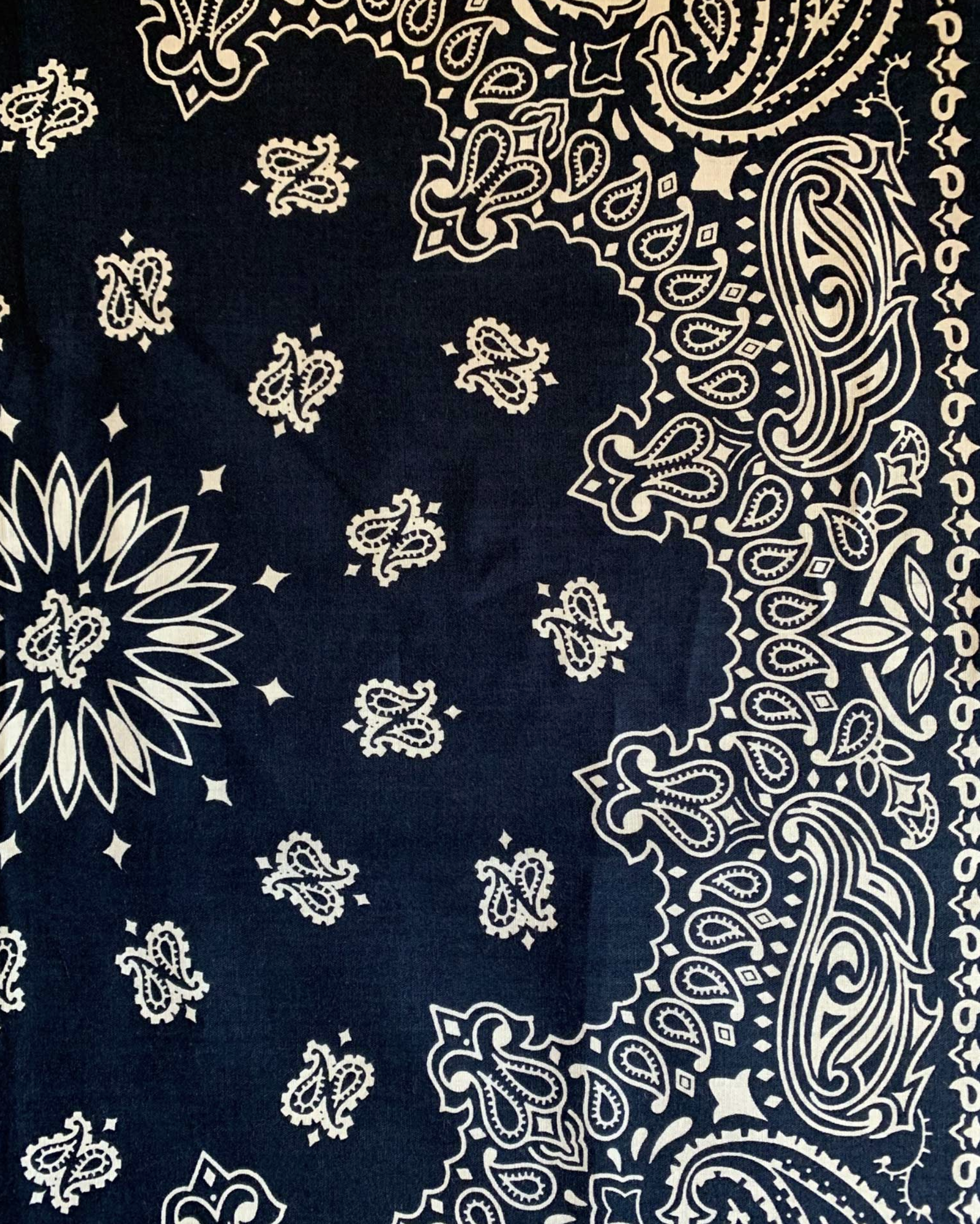 Bandana Blue FORTELA Salvatore Schito