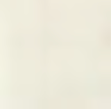 T-SHIRT RAGLAN JERSEY