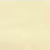 TROUSER NEW YORK CAMEL