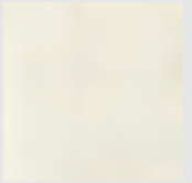 POLO LONG SLEEVE OFF WHITE